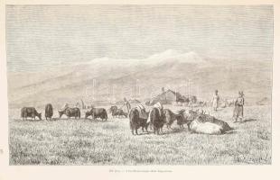 Lóczi Lóczy Lajos (1849-1920): A khinai birodalom természeti viszonyainak és országainak leírása. Gr...