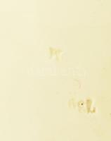 Körmöcbánya stilizált virágmintás fali dísztányér. Sorszámozott, kopással, d: 18 cm