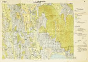 1942 Átnézetes talajismereti térkép - Keszthely, 1 : 25.000, Bp., M. Kir. Földtani Intézet - M. Kir. Honvéd Térképészeti Intézet, 95x63 cm