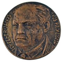 Pató Róza (1934-2018) 1992. Dr. Fehér János orvosprofesszor egyoldalas, öntött bronz emlékérem (57mm) T:AU CS 145.