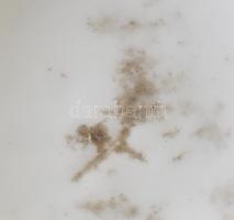 cca 1900 Karlsbad 2 darab emlékpohár, jelzés nélkül, kis kopással, pattogzással, m: 9,5 cm