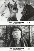 cca 1982 ,,Hiúz a vadászösvényen - Koma legújabb kalandjai" című szovjet film jelenetei és szereplői, 11 db vintage produkciós filmfotó (vitrinfotó, lobbyfotó) ezüst zselatinos fotópapíron, a használatból eredő (esetleges) kisebb hibákkal, 18x24 cm