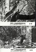 cca 1982 ,,Hiúz a vadászösvényen - Koma legújabb kalandjai" című szovjet film jelenetei és szer...