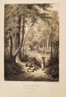 Rosti Pál: Uti emlékezetek Amerikából. Írta: - -. 2 színezett képpel, 13 kőmetszvénynyel, 2 aczélra ...