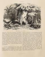 Rosti Pál: Uti emlékezetek Amerikából. Írta: - -. 2 színezett képpel, 13 kőmetszvénynyel, 2 aczélra ...