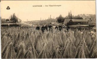 Kortrijk, Het Vlaschdroogen / Belgian folklore