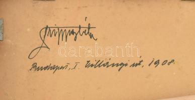 Drippey Béla (1879-?): Zöldellő táj, 1908. Olaj, karton. Jelzett a hátoldalán. Fakeretben. 25x35 cm