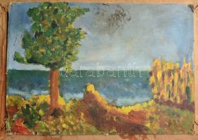 Jelzés nélkül: Csendélet (hátoldala táj). Olaj, karton. Dekoratív, kissé sérült fakeretben. 35x25 cm