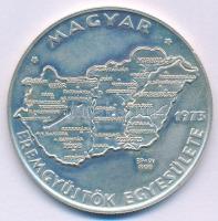 Csucs Viktória (1934-1993) 1979. "Magyar Éremgyűjtők Egyesülete 1973" jelzett Ag tagsági érem (24,60g/0.800/42,5mm) T:UNC ujjlenyomat Adamo BP5