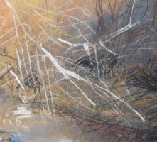 Szép György (1944-): Folyópart, 1999. Pasztell, papír. Jelzett. Üvegezett fakeretben, 34×34 cm