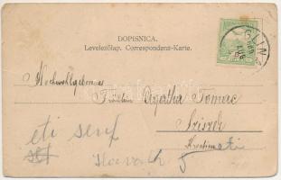 1909 Glina, Kolodvor / vasútállomás / railway station (fa)