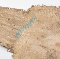 Óriás kígyóbőr. Jó állapotban, h: cca 400 cm