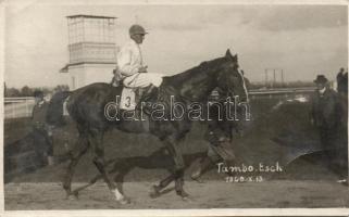 Budapest galopp (EB)