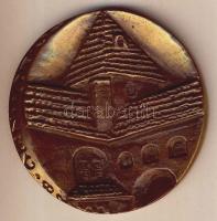 1982. "Kőszeg - Nemzetközi Kórház Gyógyszerészeti Szimpózium" nagyalakú Br plakett T:2