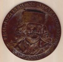 DN "II. Rákóczi Ferenc Általános Iskola - Kaposvár" extrém nagyalakú Br plakett T:2