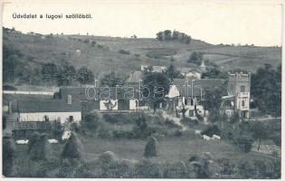 Lugos, Lugoj; Üdvözlet a lugosi szőlőből, kastély. Naschitz László cs. és kir. fhg. udv. kamara fényképész / vineyards, castle, villa (EK)