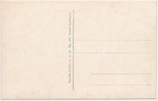 Lugos, Lugoj; Üdvözlet a lugosi szőlőből, kastély. Naschitz László cs. és kir. fhg. udv. kamara fény...