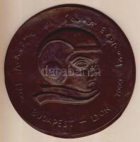 2000. "Antoine de Saint-Exupéry - Budapest-Lyon" extrém nagyalakú Br plasztika T:2