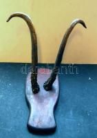 Falra akaszthatós dísz agancs 31cm-es hosszúsággal