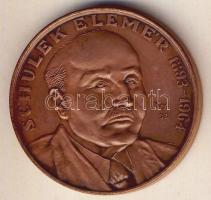 1993. "Schulek Elemér - Magyar Gyógyszerészeti Kongresszus" Br emlékérem T:BU