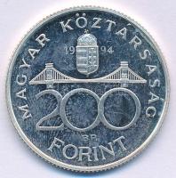 1994. 200Ft Ag "Deák" T:AU (eredetileg PP) patina, karc
Adamo F13.1