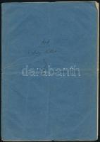 1881-1885 Ötsöd (Öcsöd, Békés vm.), adókönyvecske, kitöltött, hajtott, szakadt lapokkal.