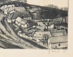 Gaál Domonkos (1940-2009): Folyópart. Rézkarc, papír, jelzett, számozott (19/100). Üvegezett, sérült...