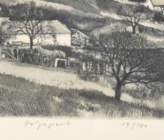 Gaál Domonkos (1940-2009): Folyópart. Rézkarc, papír, jelzett, számozott (19/100). Üvegezett, sérült...