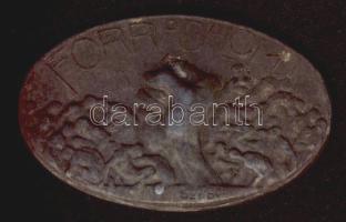 1918. "Forradalom" ovális ón emlékérem. Szign. Sződy T:2/3