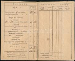 1868 Tokaj környéki községi ingatlan adókönyvecskéje