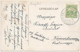 1913 Petróc, Garancspetróc, Petrovce; Petróczy kastély. Athenaeum 13820. / castle (EK)