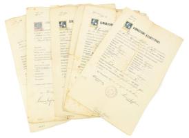 1917-1923 Nyíregyháza, Schwartz Miklós izraelita vallású tanuló 7 db gimnáziumi bizonyítványa (egymást követő tanévek), vegyes állapotban, okmánybélyegekkel