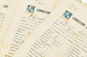 1917-1923 Nyíregyháza, Schwartz Miklós izraelita vallású tanuló 7 db gimnáziumi bizonyítványa (egymá...
