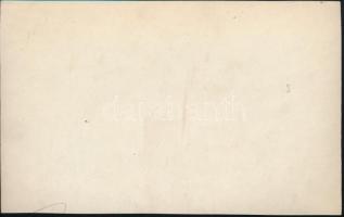 cca 1915-1918 Osztrák-magyar katonatisztek csoportképe, többükön szalagsávok, ill. hazai és külföldi...