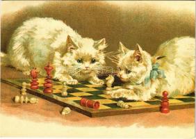 Sakkozó macskák / cats playing chess