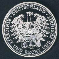 Németország 2005. "60 éves a béke" Ag emlékérem 20g T:PP