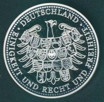 Németország 2005. "60 éves a béke" Ag emlékérem 20g T:PP