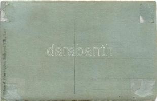 Budapest XIV. Városliget, Gundel Károly állatkerti vendéglője, vendégek és pincér. Fekete A. photo (...