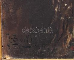 Ivanácz Zsolt József (1869-?): Lány népviseletben. Olaj, karton. Jelezve balra lent. Kissé sérült. D...