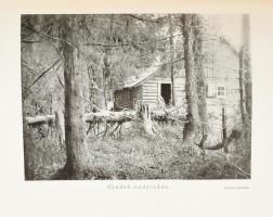 Thurn-Rumbach István: Erdélyi szarvasok és medvék nyomában... Bp.,1941, Dr. Vajna és Bokor, 225+2 p....