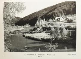 Thurn-Rumbach István: Erdélyi szarvasok és medvék nyomában... Bp.,1941, Dr. Vajna és Bokor, 225+2 p....