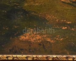 Kálmán P. jelzéssel: Táj. házzal. Olaj, karton. Kissé sérült. 51x77,5 cm. Dekoratív, kissé sérült fa...