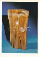 Hajdu István: Csiky Tibor. Mai Magyar Művészet. Bp.,1979.,Képzőművészeti Alap. Kiadói kartonált papí...