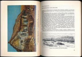 Pogány Ö. Gábor, Kaposvári Gyula, Hans Aurenhammer, Bodnár Éva et. al.: A szolnoki festőiskola. Die ...