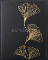 Kb. 200 db MODERN magyar város képeslap albumban, főleg az 1950-es évekből / Cca. 200 MODERN Hungari...