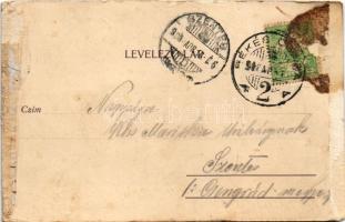 1906 Békéscsaba, park és híd (Rb)