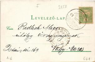 1902 Iglófüred, Bad Zipser Neudorf, Spisská Nová Ves Kupele, Novovesské Kúpele; Hungária villa. Wlas...