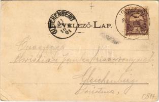 1901 Iglófüred, Bad Zipser Neudorf, Spisská Nová Ves Kupele, Novovesské Kúpele; Millenium szálloda. ...