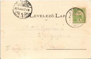 1904 Stószfürdő, Stoósz-fürdő, Kúpele Stós; Berta lak, Polonia, Mária villa. Wlaszlovits Gusztáv kia...