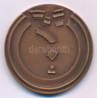 Lapis András (1942-) 1979. "Az ár betört! 1879. Március 12 éjfél után 2 óra - Száz évvel ezelőt...